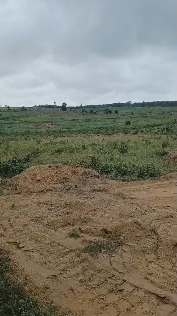 LE SITE DE SONGON AGBAN ATTIE